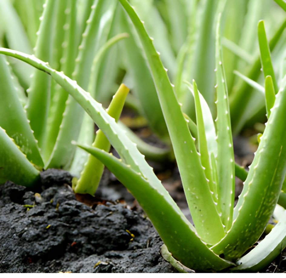 Community moments at Kafakumba