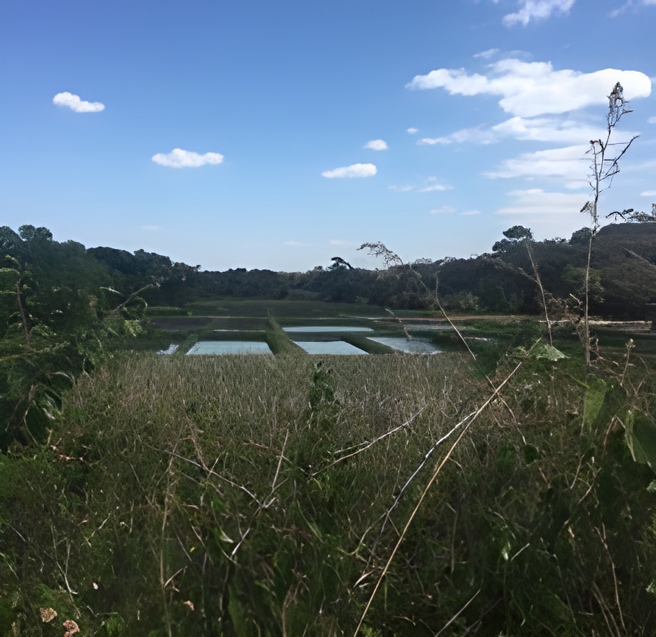 Project work and skill building